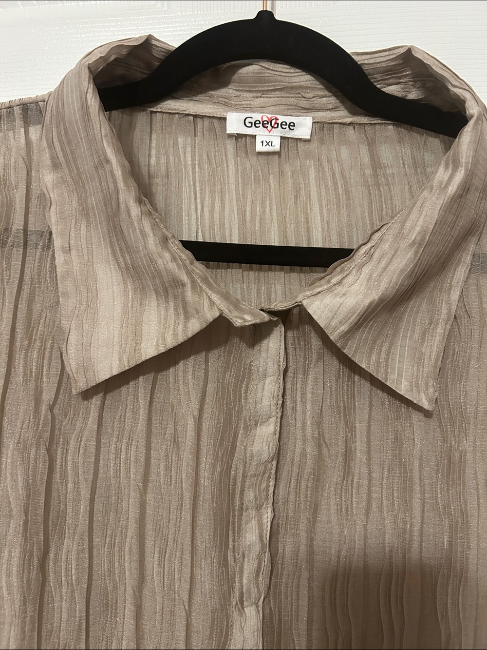 GeeGee Taupe Crinkle Button-Down Blouse - Picture 3 of 6